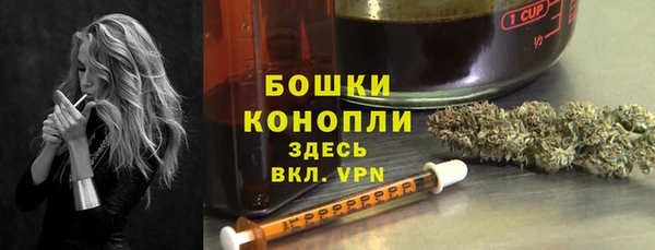 хмурый Кущёвская