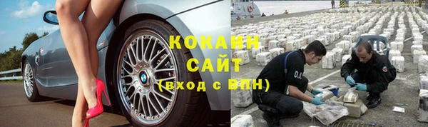 хмурый Кущёвская